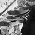 Sillas mineras