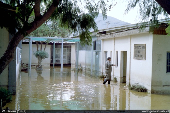 Lluvia en el desierto de Atacama, 1997