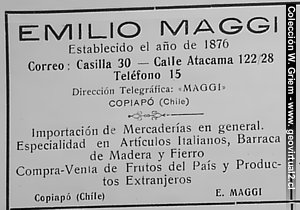 Maggi Atacama