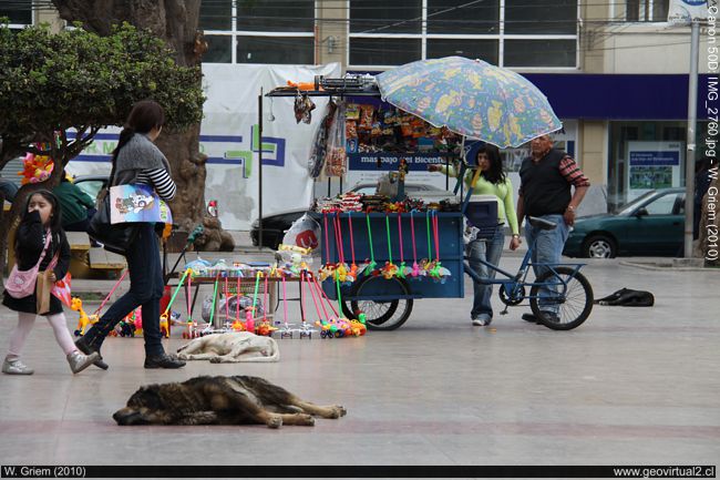 Plaza von Copiapo, Atacama Region, Chile