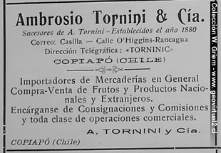 Tornini O Higginas 1910