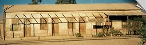 Inca de Oro en el desierto de Atacama
