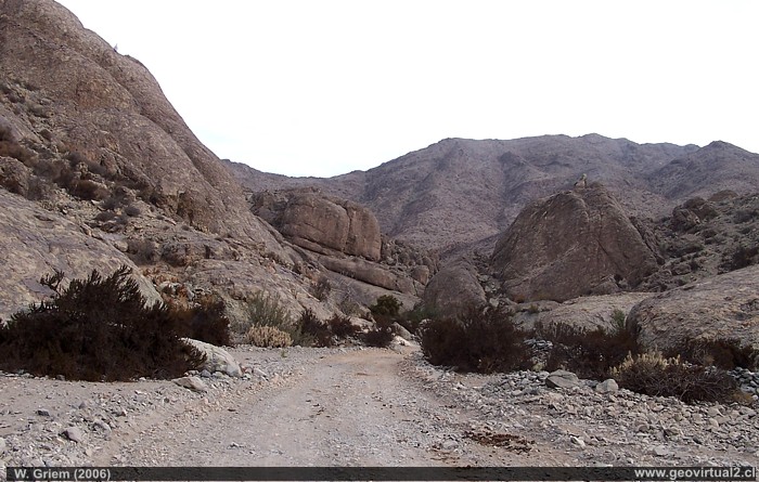 Los Sapos, Region de Atacama - Chile