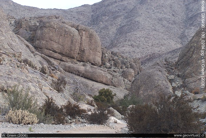 Los Sapos en el desierto de Atacama, Chile