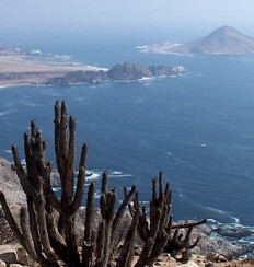 Costa del desierto de Atacama