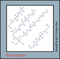 Estrucuras de Fotos aereas