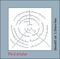 Estrucuras de Fotos aereas