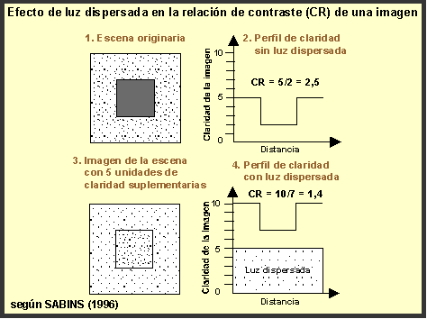 Exploraciones Mineras