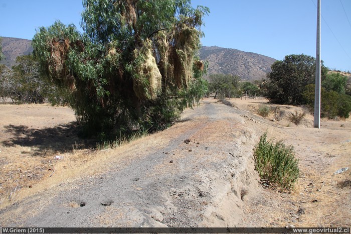 Triangulo de vías en Palquico - ferrocarriles en Chile