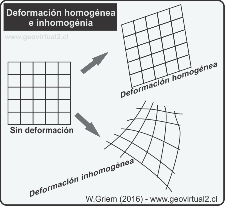Deformación Homogénia