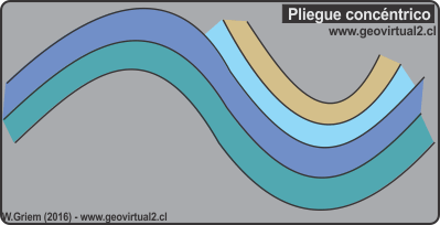 pliegue concentrico