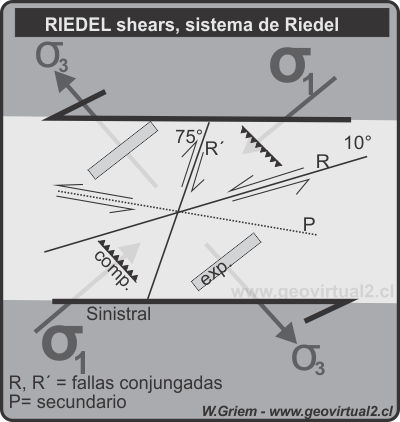 Riedel shear