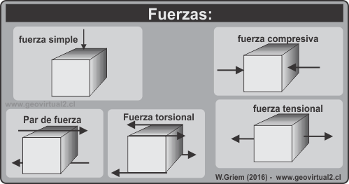Fuerzas