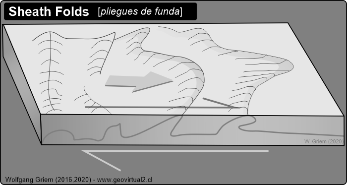 Sheath folds - pliegues de funda