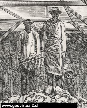 R. Tornero en la mina Esperanza