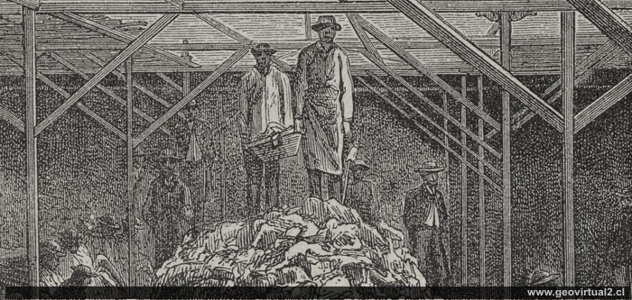 Minería en Tres Puntas, detalle de R. Tornero