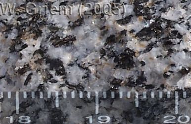 Diorita de la Cordillera de la Costa de Atacama