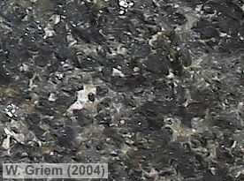 detalles de un Gabro, gabbro
