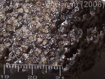 Granatita de la Región Atacama (Chile)