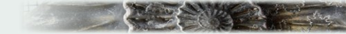 paleontologia pictograma