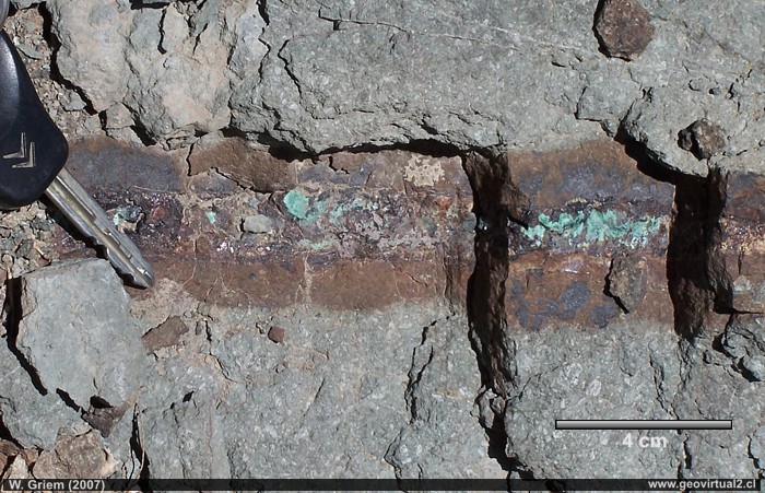 Veta mineralizada