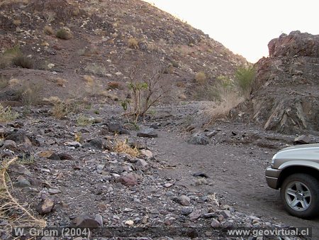Aluvión Qda. Yerbas Buenas (Atacama / Chile)