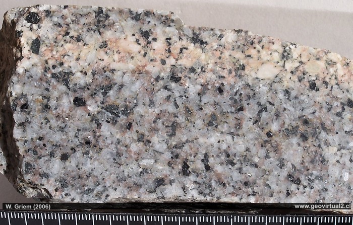 granodiorita