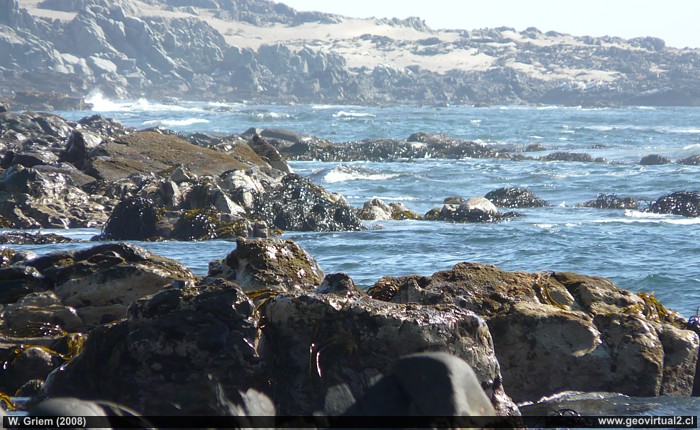 Playa rocosa en Atacama, Chile - tipos de zonas litorales