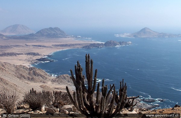 Atacama: Pan de Azucar