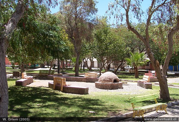 Region de Atacama: Alto del Carmen