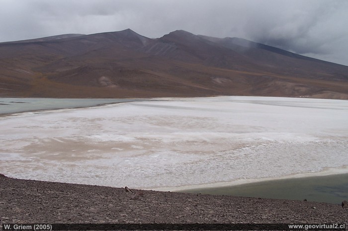 Atacama: Laguna Santa Rosa