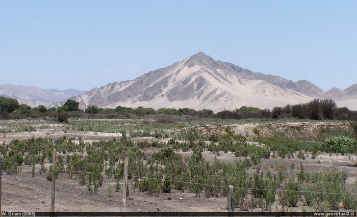 Der Cerro Bramador in der Atacama - Wüste, Chile