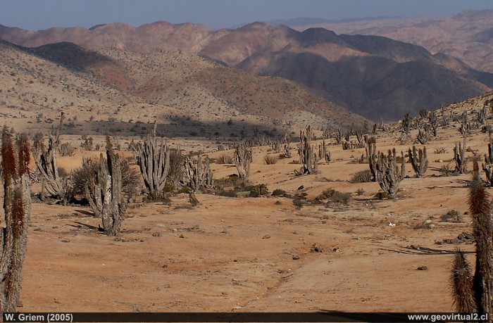 Die Atacama-Wüste im Nationalpark - Pan de Azucar, Chile