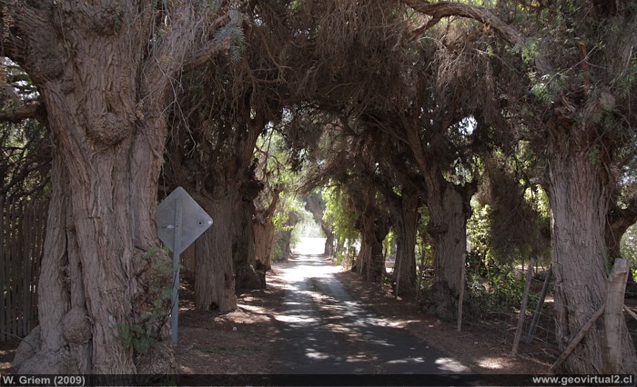 Piedra Colgada en la Región de Atacama - Chile