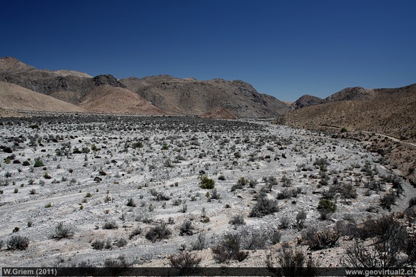 Quebrada Algarrobal cerca de Merceditas en Atacama, Chile