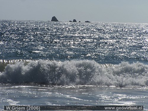 Playas en Atacama (Norte de Chile)- Cisne