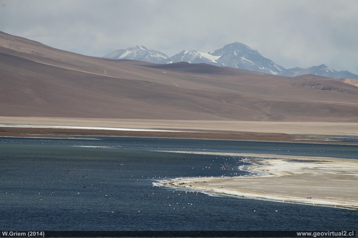 Laguna Negro Francisco en la cordillera de los Andes de la Región de Atacama
