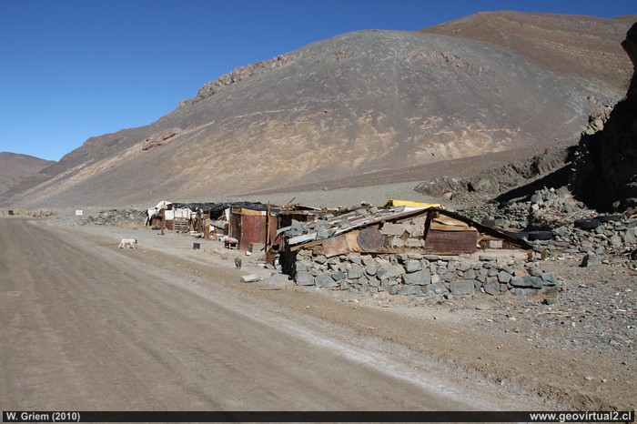 Majada en San Andrés, Región Atacama, Chile