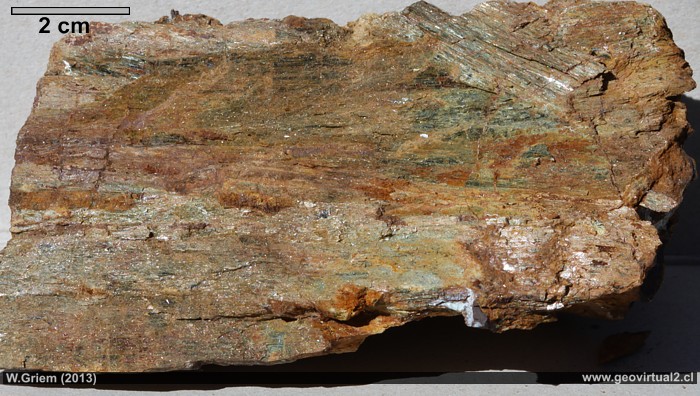 Actinolita