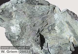 Actinolita