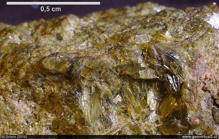 Epidota