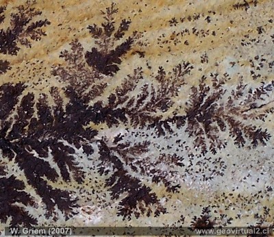 Pirolusita (Mn) - Muestra de la Mina Flor de Puquios, Regi n Atacama, Chile 