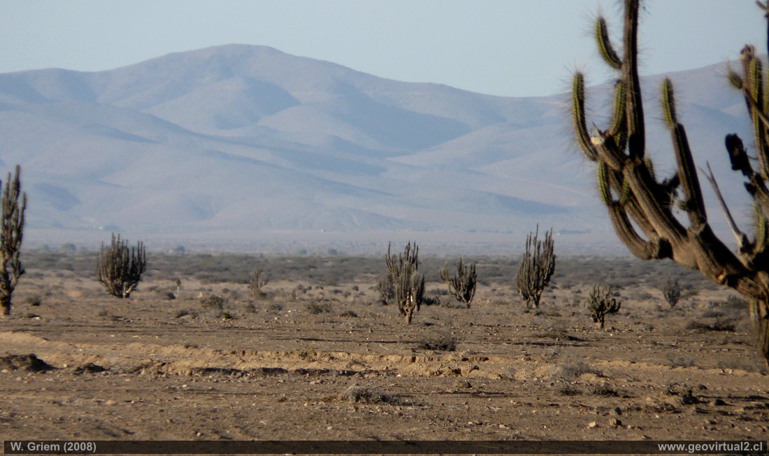 Tololo Pampa, Region Atacama - Chile