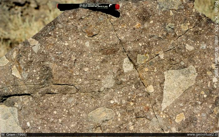 Brecha sedimentaria
