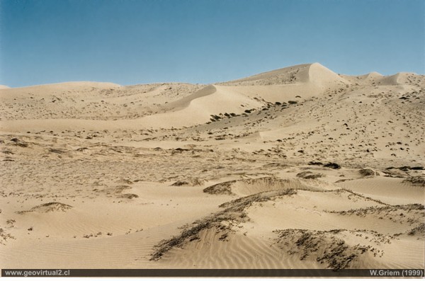 Dunas de Atacama, Región de Atacama - Chile