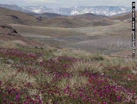 Die Atacama Wüste