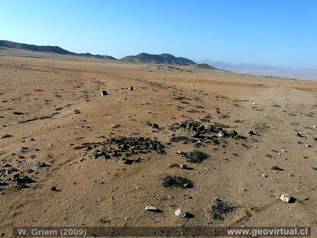 Estación Barros Luco en Atacama - triángulo de vías