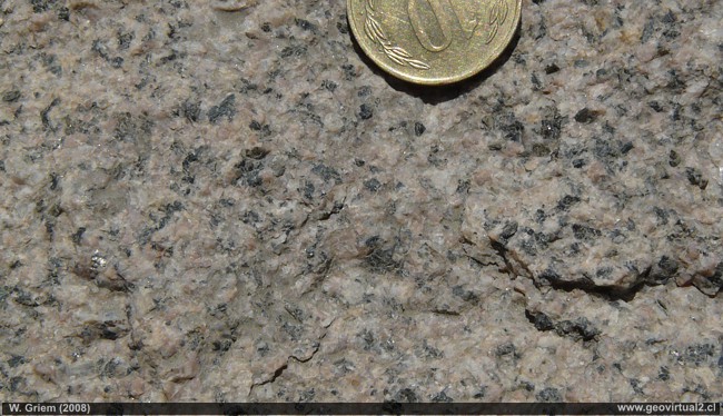 Granodiorita de Cabeza de Vaca en Atacama - Chile