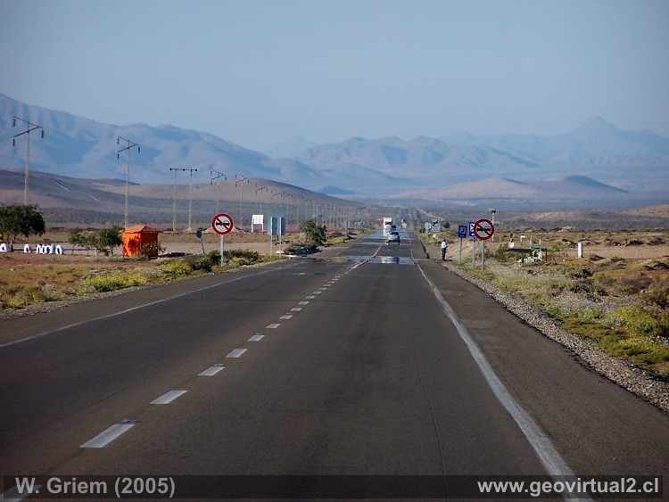 panamericana en el desierto florido (Atacama, Chile)