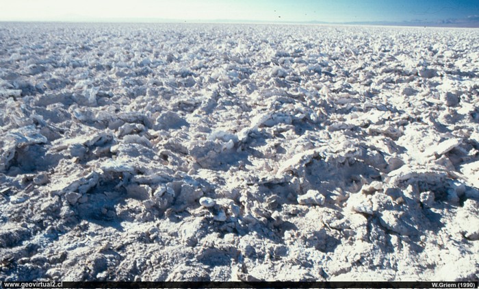 Salar